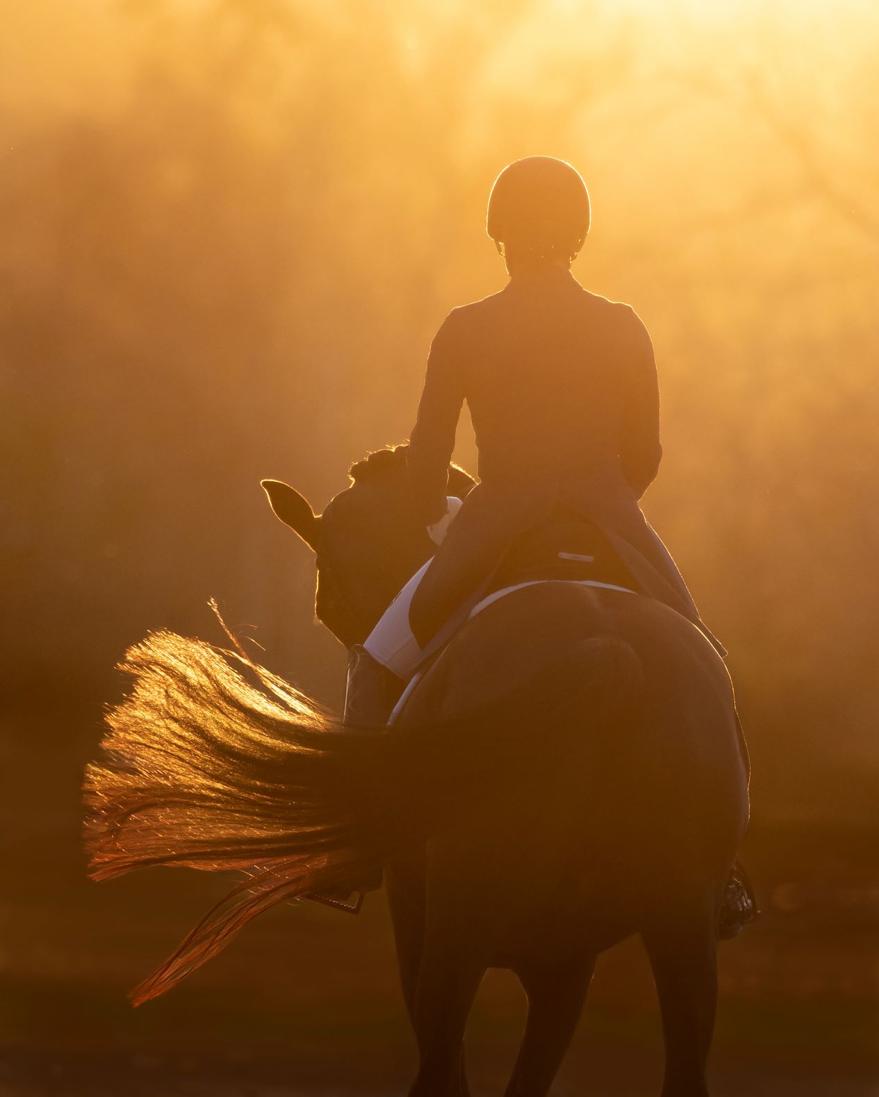 You are currently viewing Silberne Kamera vergeben: Für das beste Pferdesportfoto