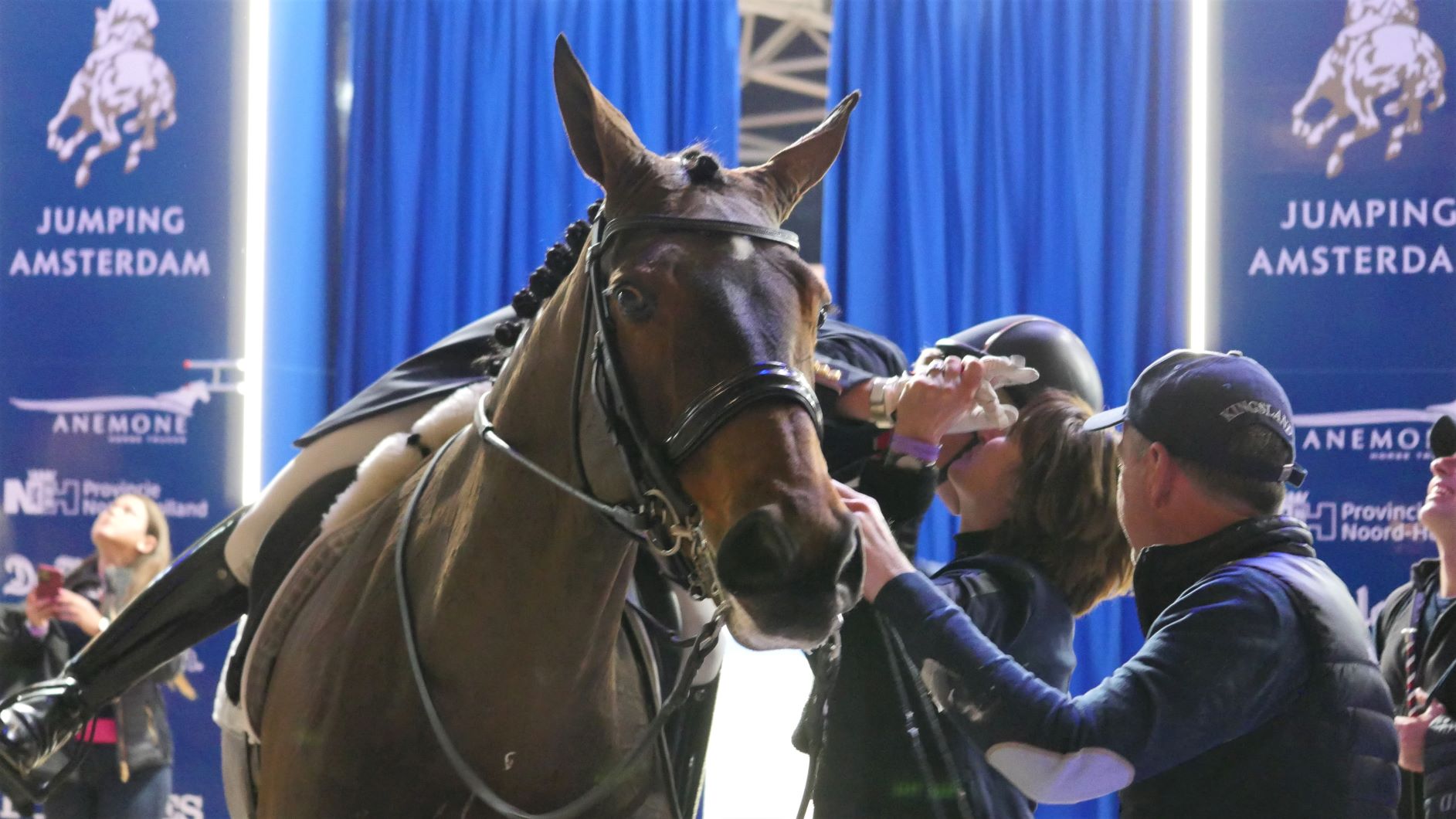 Read more about the article Amsterdam: FEI-Stewards take care of the horses