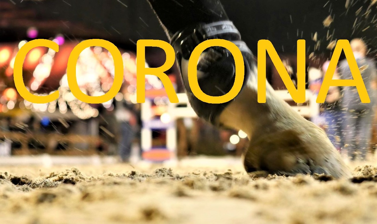 Read more about the article Corona: Pferde wissen nichts von einem Virus