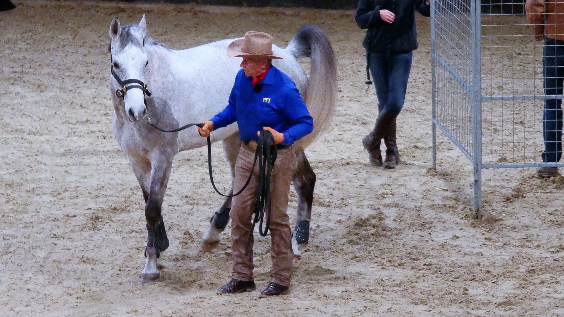 Read more about the article Neue Begegung mit Monty Roberts